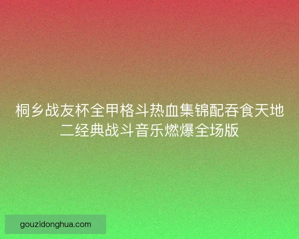 桐乡战友杯全甲格斗热血集锦配吞食天地二经典战斗音乐燃爆全场版